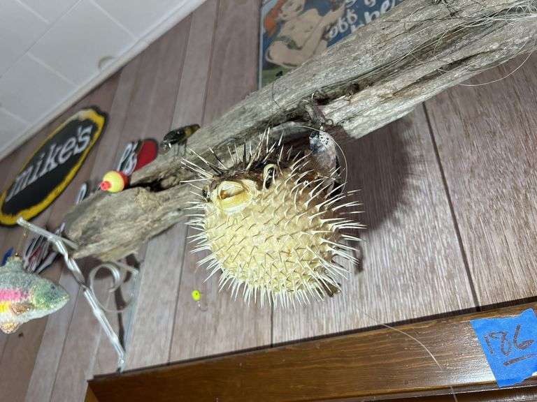 Metal Tin Tacker Signs with Porcupine Puffer Fish
