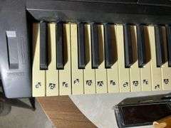 Casio Keyboard & Other Instruments