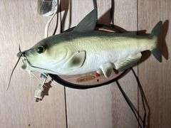 Collection of Talking Fish, Confederate Flag, Electric Silvertrol Motor, Wall Hangings