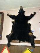 Bear Hide