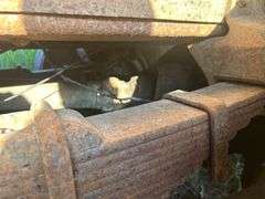 1967 GMC 7500 Grain Truck