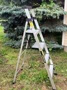 Gorilla Ladder