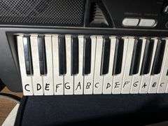 Casio Keyboard & Other Instruments