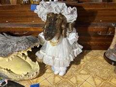 Alligator Head & a Dolligator