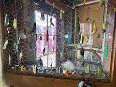 Fishing Tackle & Related Items