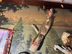 Mounted Critters & Other Display Items