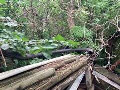 Extention Ladder, Basketball Hoop, Pvc Pipe, Landscape Timbers & More