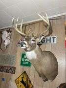 Deer Mount