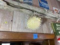 Metal Tin Tacker Signs with Porcupine Puffer Fish
