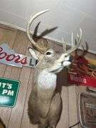 Deer Mount