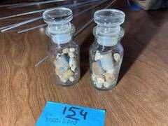 Fossilized Crinoid Stems