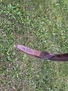 Case-IH 5800 41ft Chisel Plow