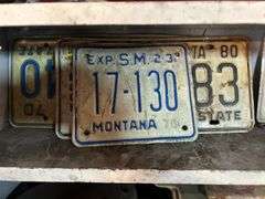 Shelf Of Items - License Plates, Tape Measure, Good Fire Extinguisher, Alternator, & More
