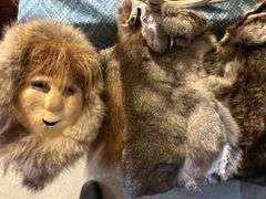 Rabbit & Raccoon Furs, Raccoon Tails, & a Mask