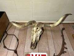 Cattle Skull, Single-Hame, Anti-Fence Device, Exit Sign