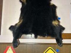 Bear Hide