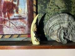 Mounted Critters & Other Display Items