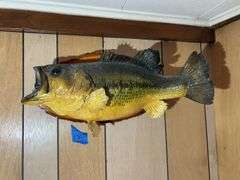 Mounted Fish