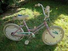 Huffy Girls 20-Inch Bicycle