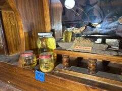 Mounted Baby Mosquito from Minnesota & Some Pickled Critters