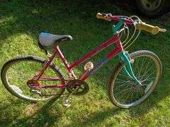 Group of Three Girls Bicycles