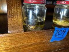 Mounted Baby Mosquito from Minnesota & Some Pickled Critters