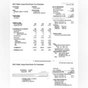 Thumbnail image of Zwinger Property Taxes.pdf