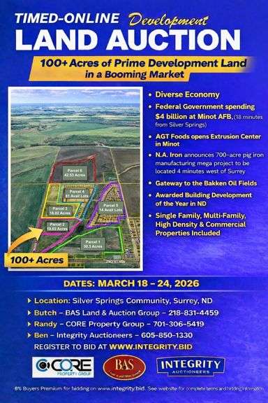 Silver Springs Master Planned Community Development Multi-Parcel Online Auction