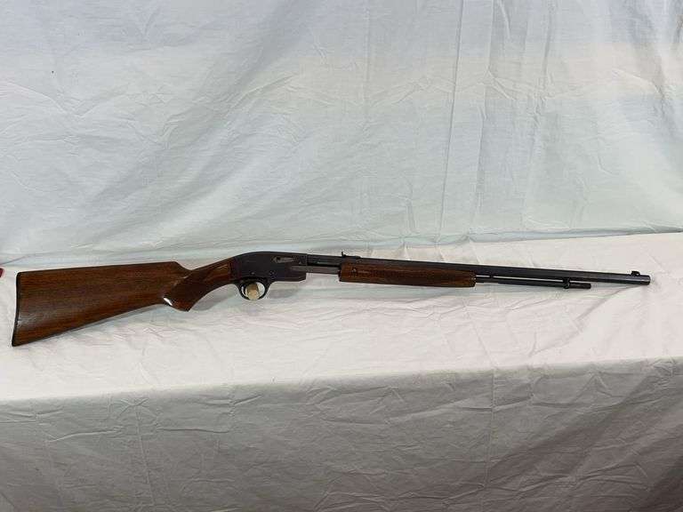 Savage Model 29 .22