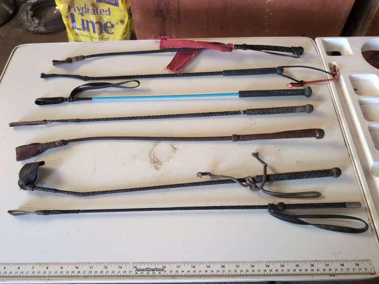 (BARN) ASST'D RIDING CROPS - Isabell Auction