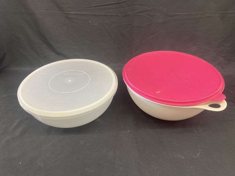 (2) TUPPERWARE STORAGE CONTAINERS - Isabell Auction
