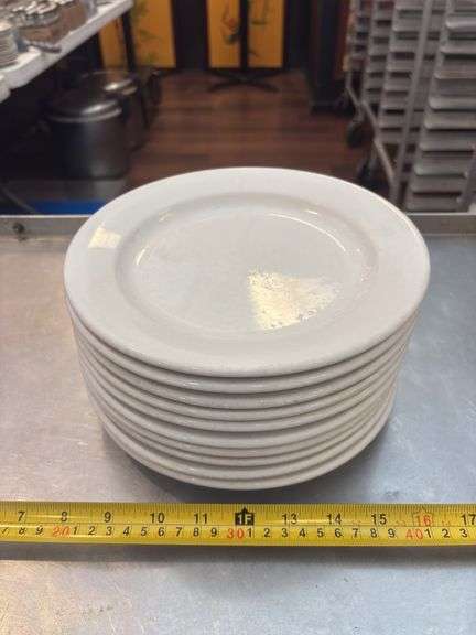 10-CT. 9” DINNER PLATES