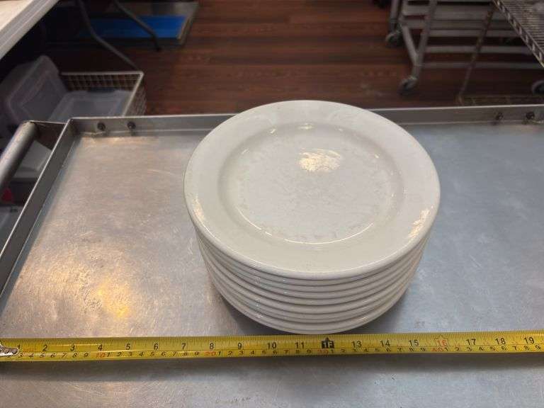 10-CT. 9” DINNER PLATES