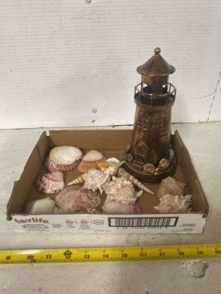 ASSORTED SEASHELLS AND 9” LIGHTHOUSE MUSIC BOX - Isabell Auction