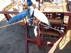 Crow Yard Art
