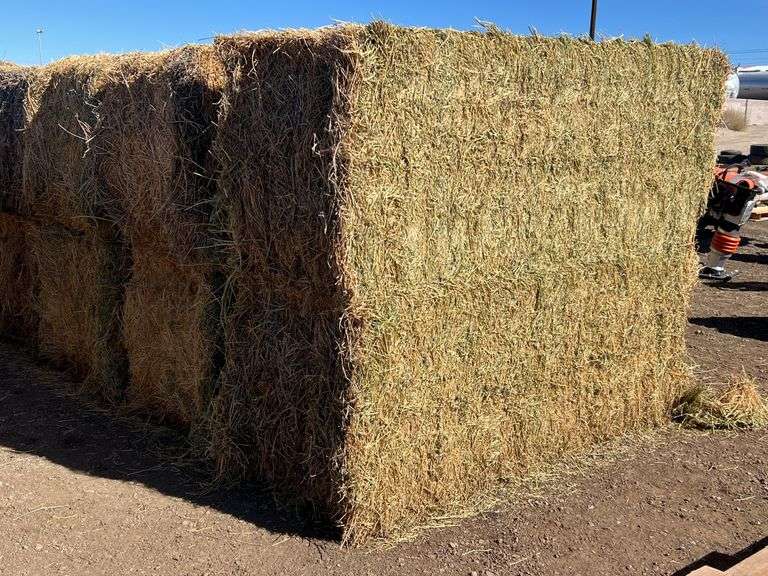 Qty 2 3X3x8 Bales Nebraska Alfalfa Hay 3rd Cutting - Albuquerque N.M