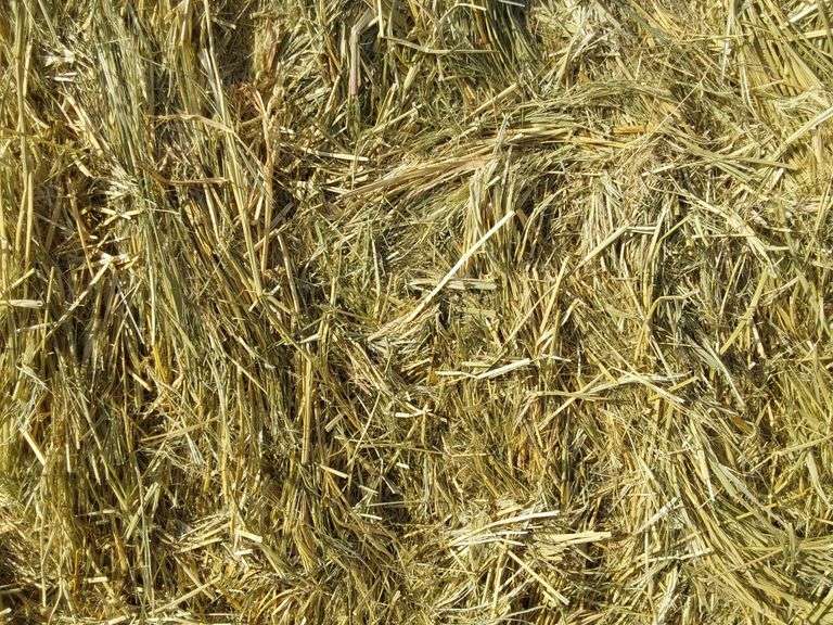 Qty 2 3X3x8 Bales Nebraska Grass Hay - Albuquerque N.M