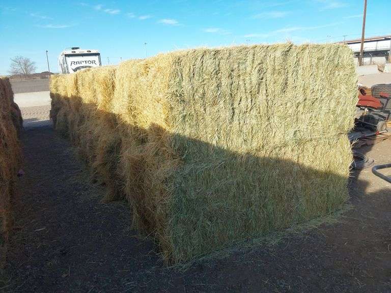 Qty 2 3X3x8 Bales Nebraska Grass Hay - Albuquerque N.M