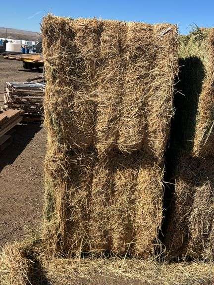 Qty 2 3X3x8 Bales Nebraska Alfalfa Hay 3rd Cutting - Albuquerque N.M