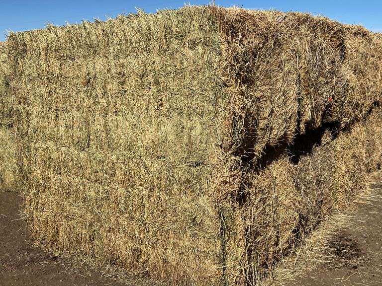 Qty 2 3X3x8 Bales Nebraska Alfalfa Hay 3rd Cutting - Albuquerque N.M