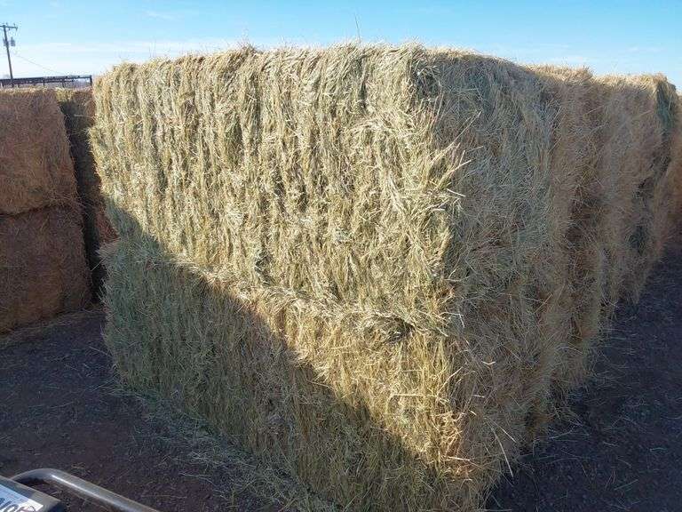 Qty 2 3X3x8 Bales Nebraska Grass Hay - Albuquerque N.M