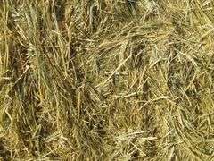 Qty 2 3X3x8 Bales Nebraska Grass Hay - Albuquerque N.M