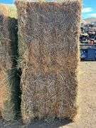 Qty 2 3X3x8 Bales Nebraska Alfalfa Hay 3rd Cutting - Albuquerque N.M