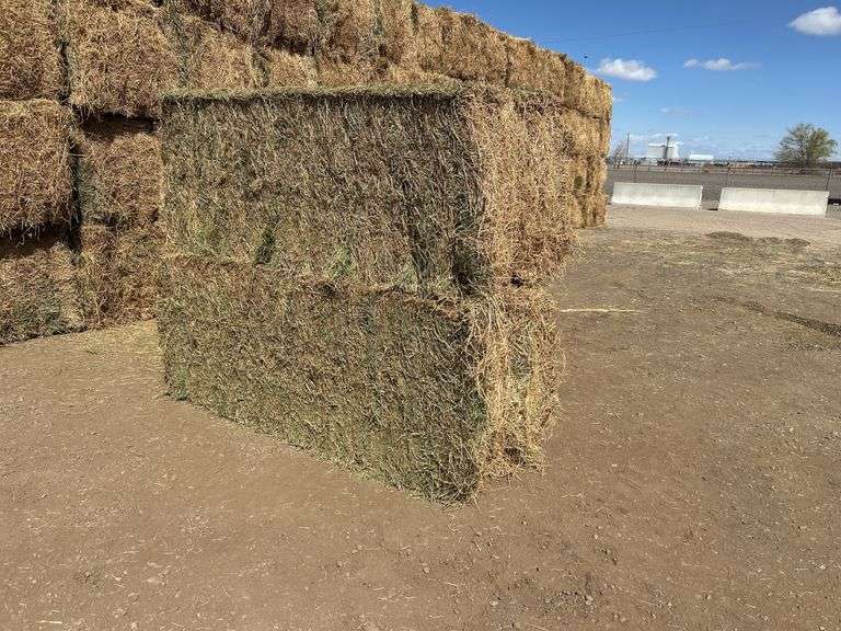 Qty 2 3x3x8 Bales Nebraska Alfalfa Hay 3rd Cutting - J&J Auctioneers LLC
