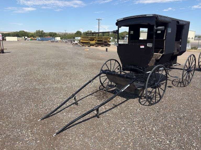 Amish Horse Drawn Buggy - Albuquerque, NM
