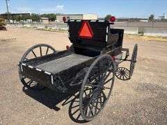 Antique Horse Drawn Buggy - Albuquerque, NM