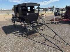 Amish Horse Drawn Buggy - Albuquerque, NM