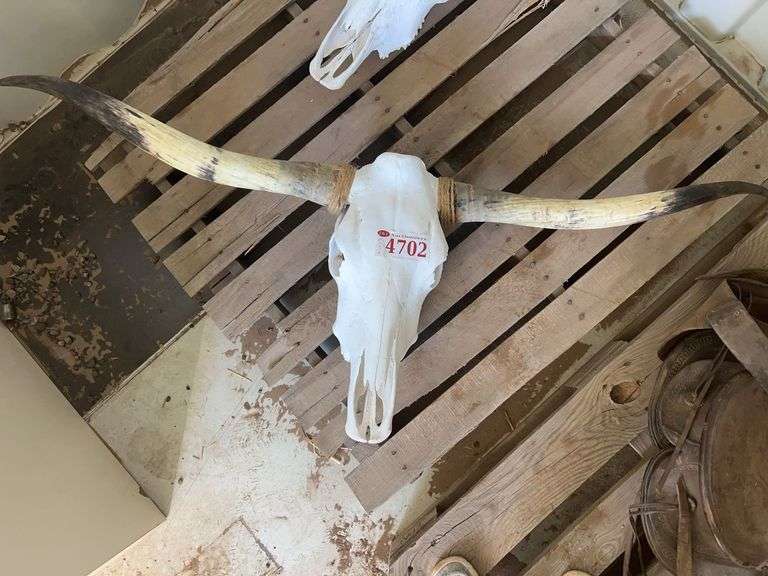 Decorative Bull Skull - Albuquerque NM