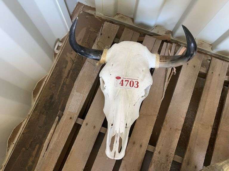 Decorative Bull Skull - Albuquerque NM