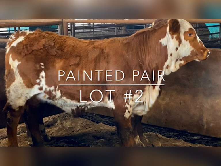 "Painted Pair"